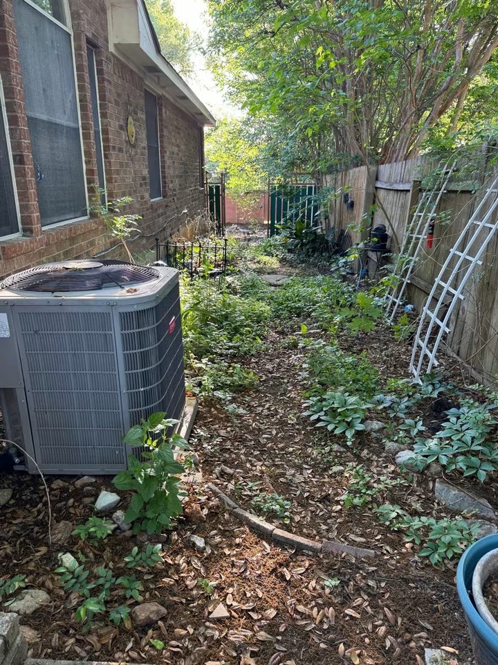 Overgrown side yard before property cleanup